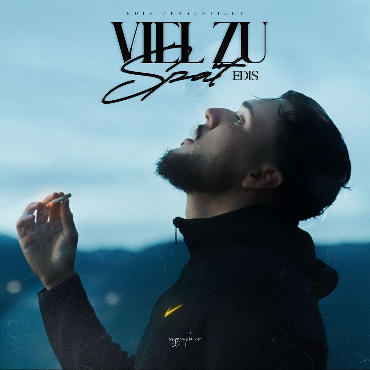 Album cover of Viel zu spät