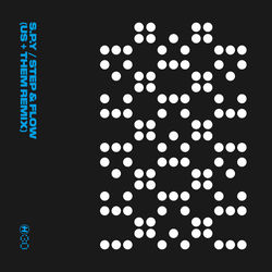 Descargar Step & Flow (US + THEM Remix) - S.P.Y MP3