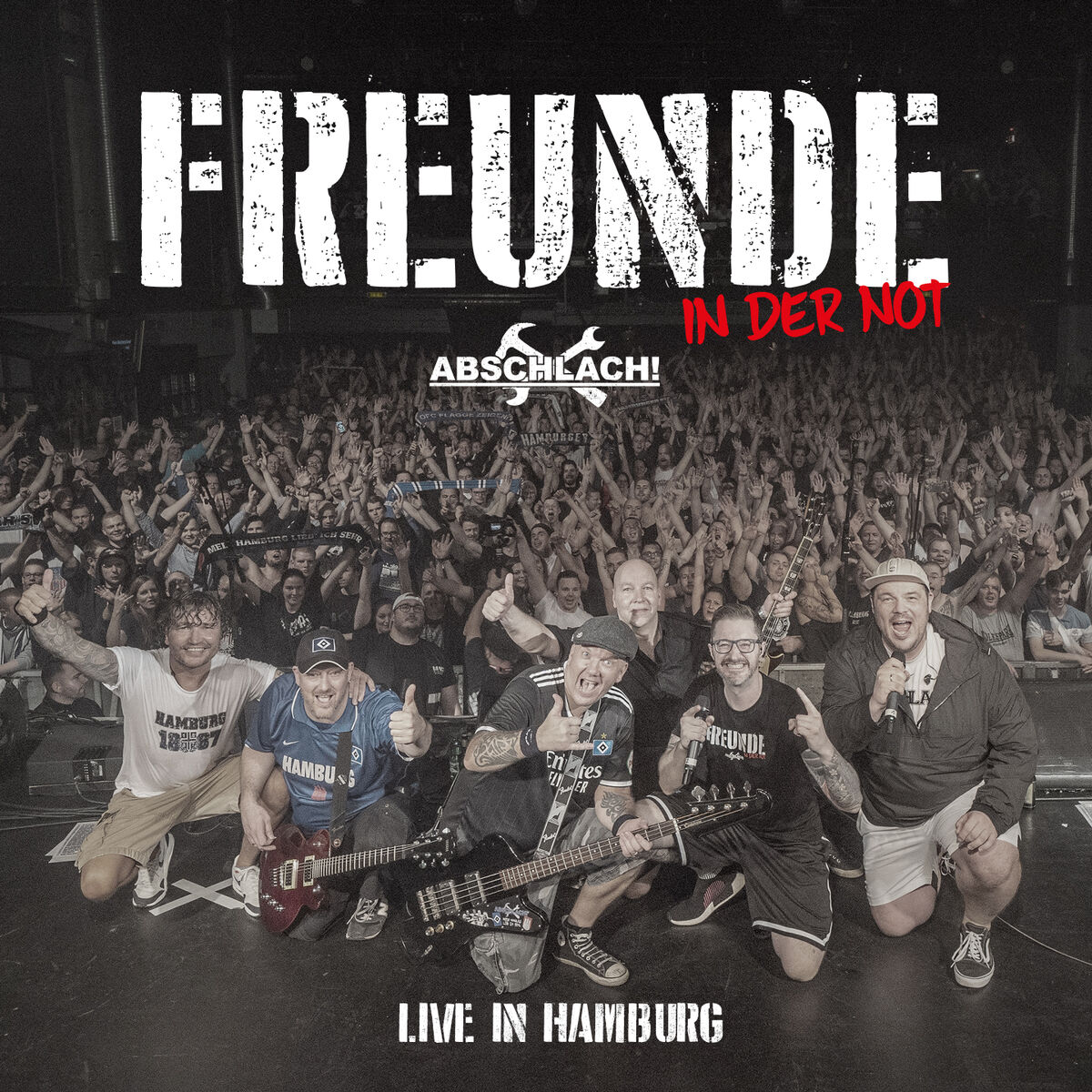 Album cover of Freunde (Live in Hamburg)