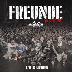 Cover of Freunde (Live in Hamburg)