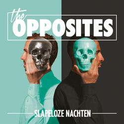 Cover of Slapeloze Nachten