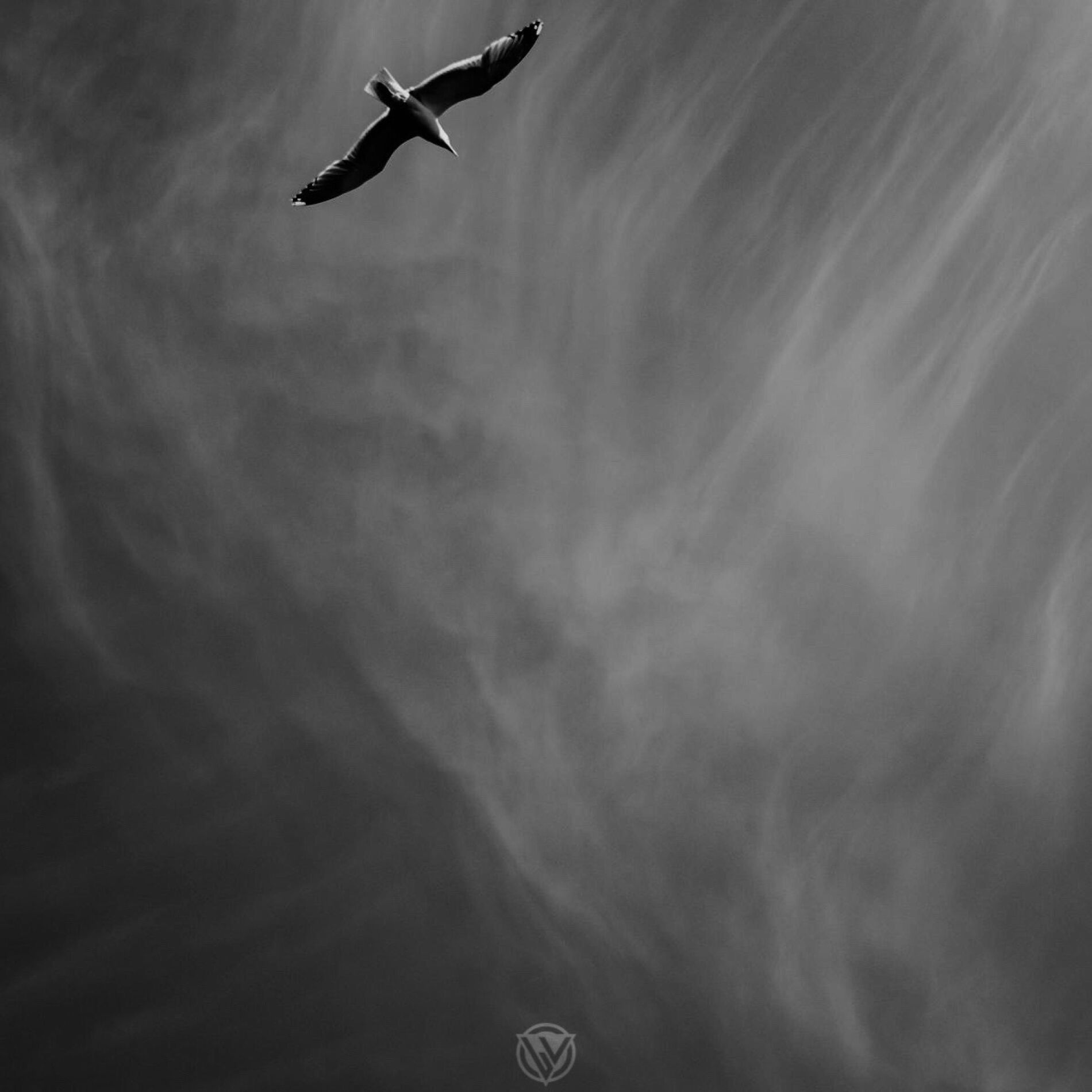 Album cover of DEN KSEREI KANEIS (feat. Swiss)