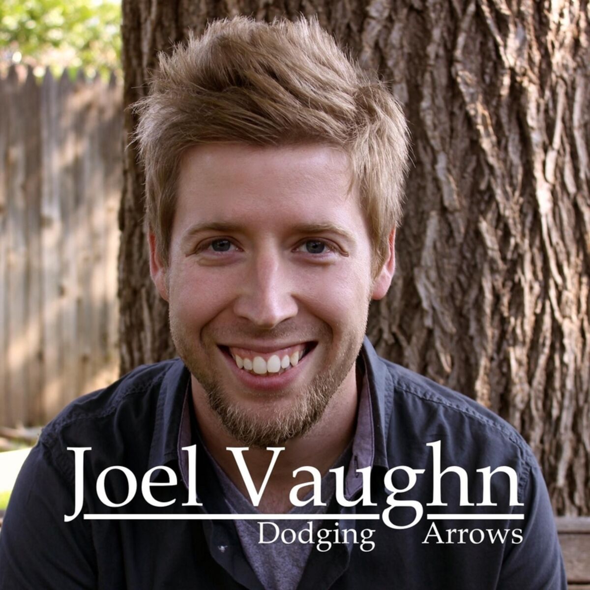Album cover of Dodging Arrows