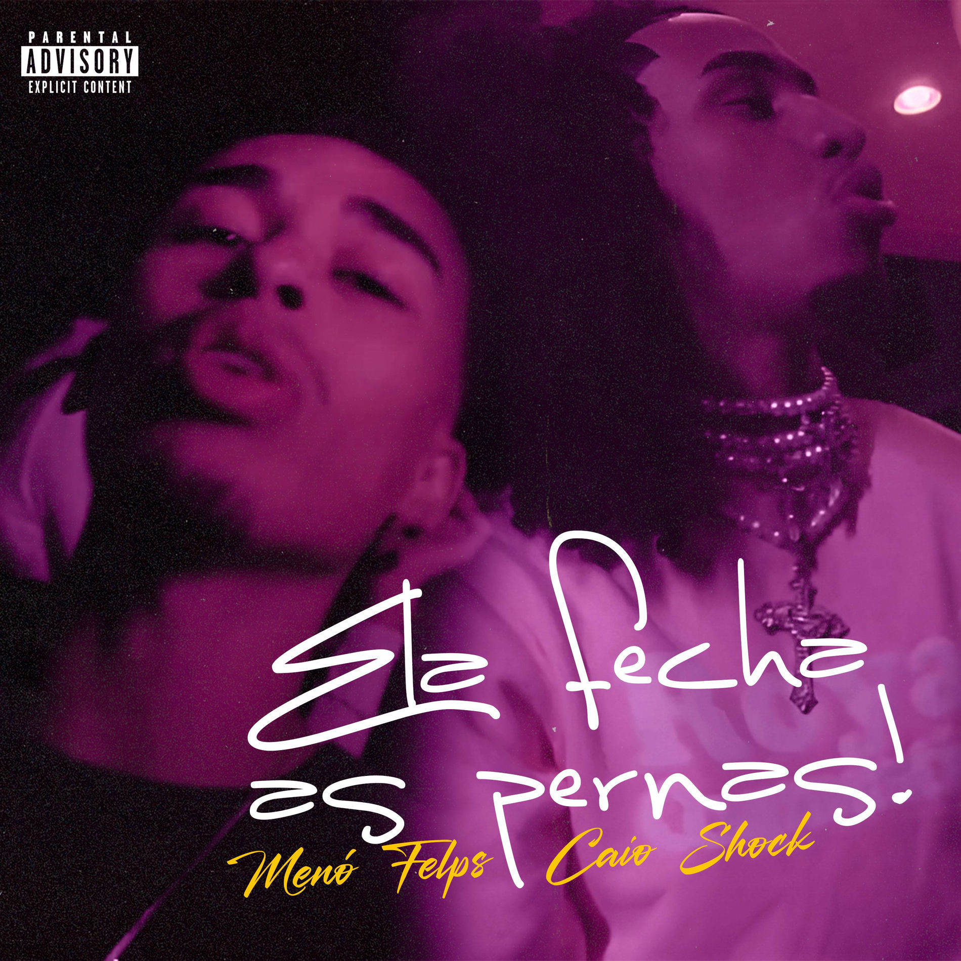 Album cover of ela fecha as pernas
