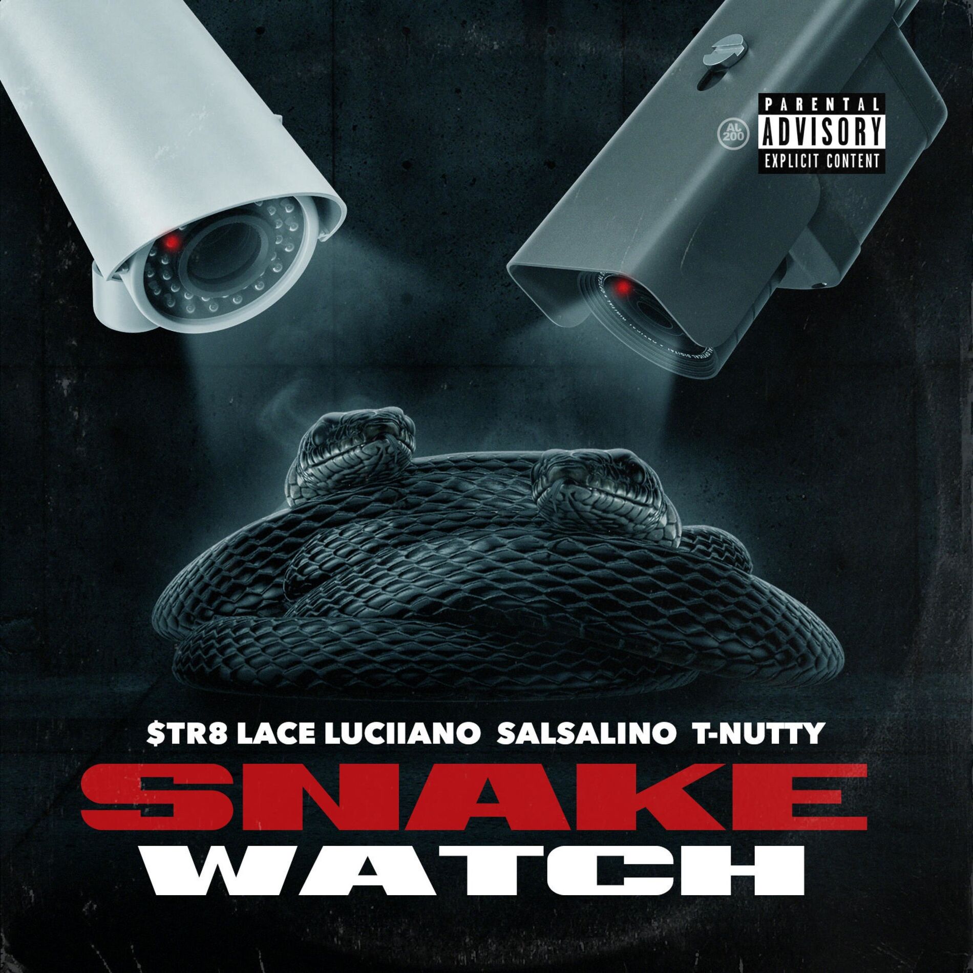 Album cover of Snake Watch (feat. Salsalino & T-Nutty)