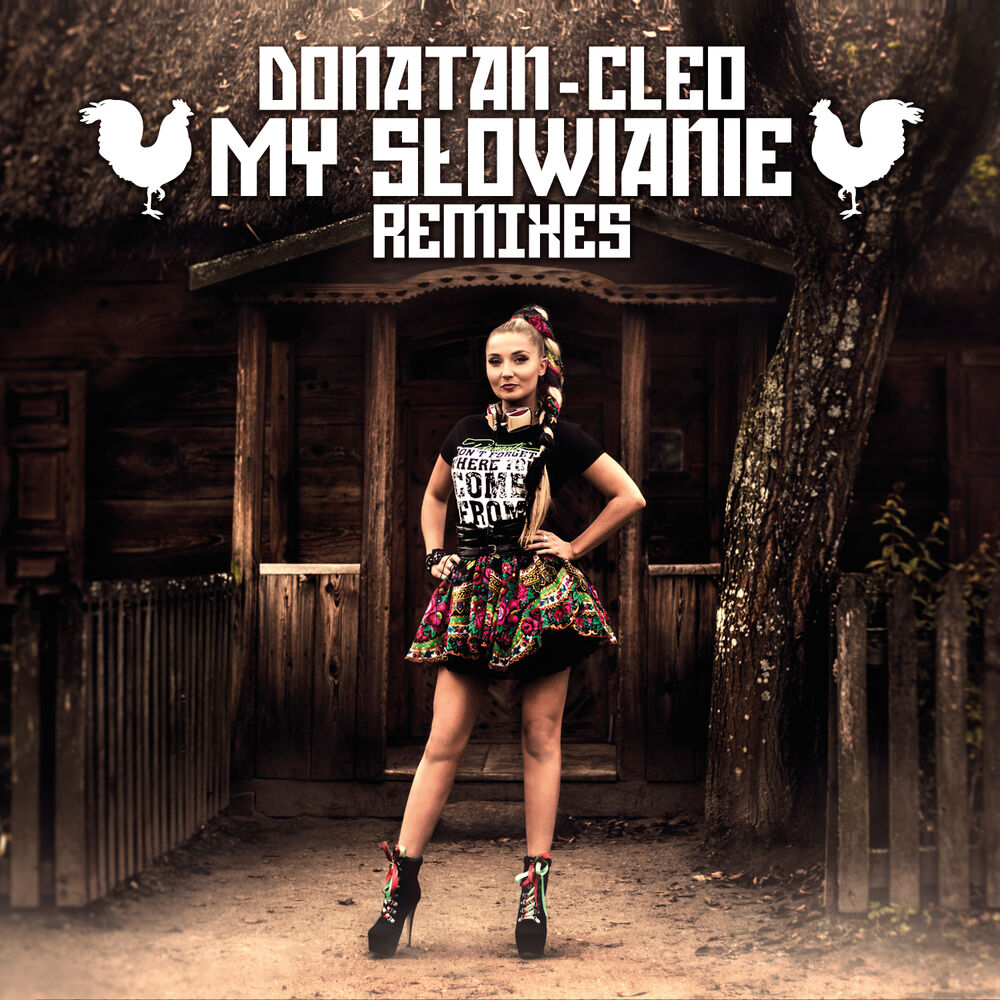 Picture of My Słowianie Remixes