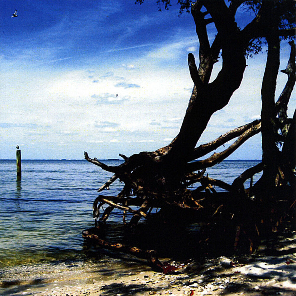 Picture of Merciless Ocean