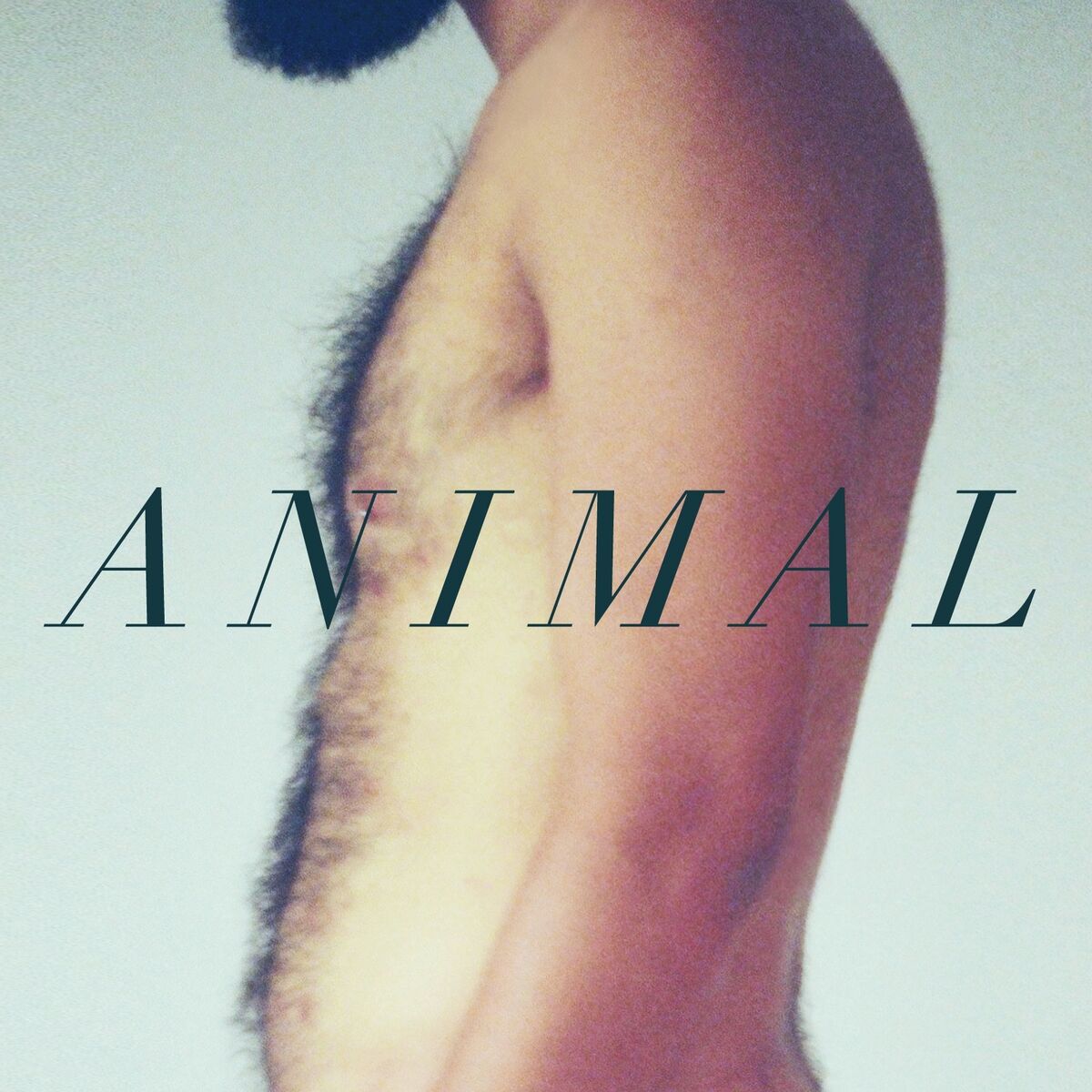 Album cover of Animal