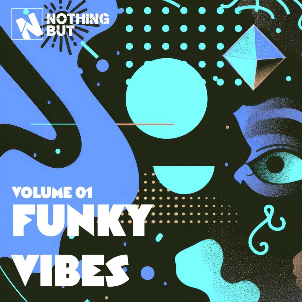 Album cover of Nothing But... Funky Vibes, Vol. 01