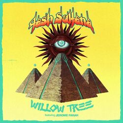 Cover of Willow Tree
