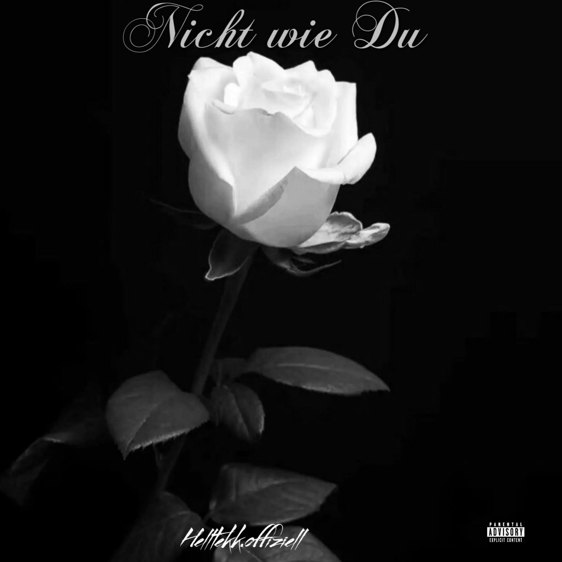Album cover of Nicht wie Du
