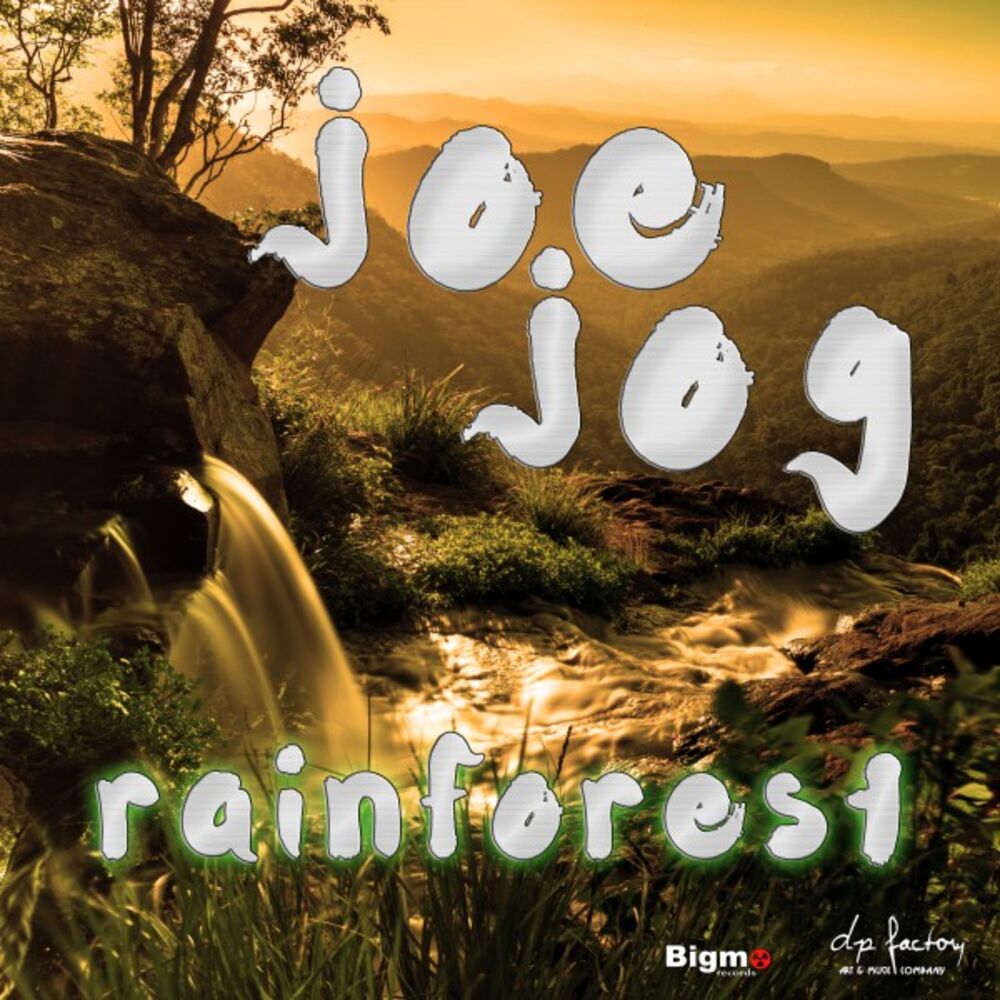 Picture of Rainforest