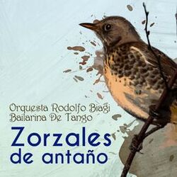 Cover of Zorzales de Antaño - Orquesta Rodolfo Biagi - Bailarina De Tango