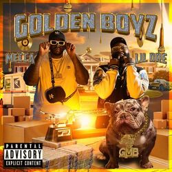 Cover of Golden Boyz
