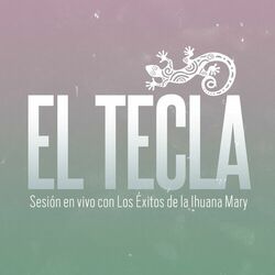 Cover of Sesion Con los Exitos de la Ihuana Mary (En Vivo)