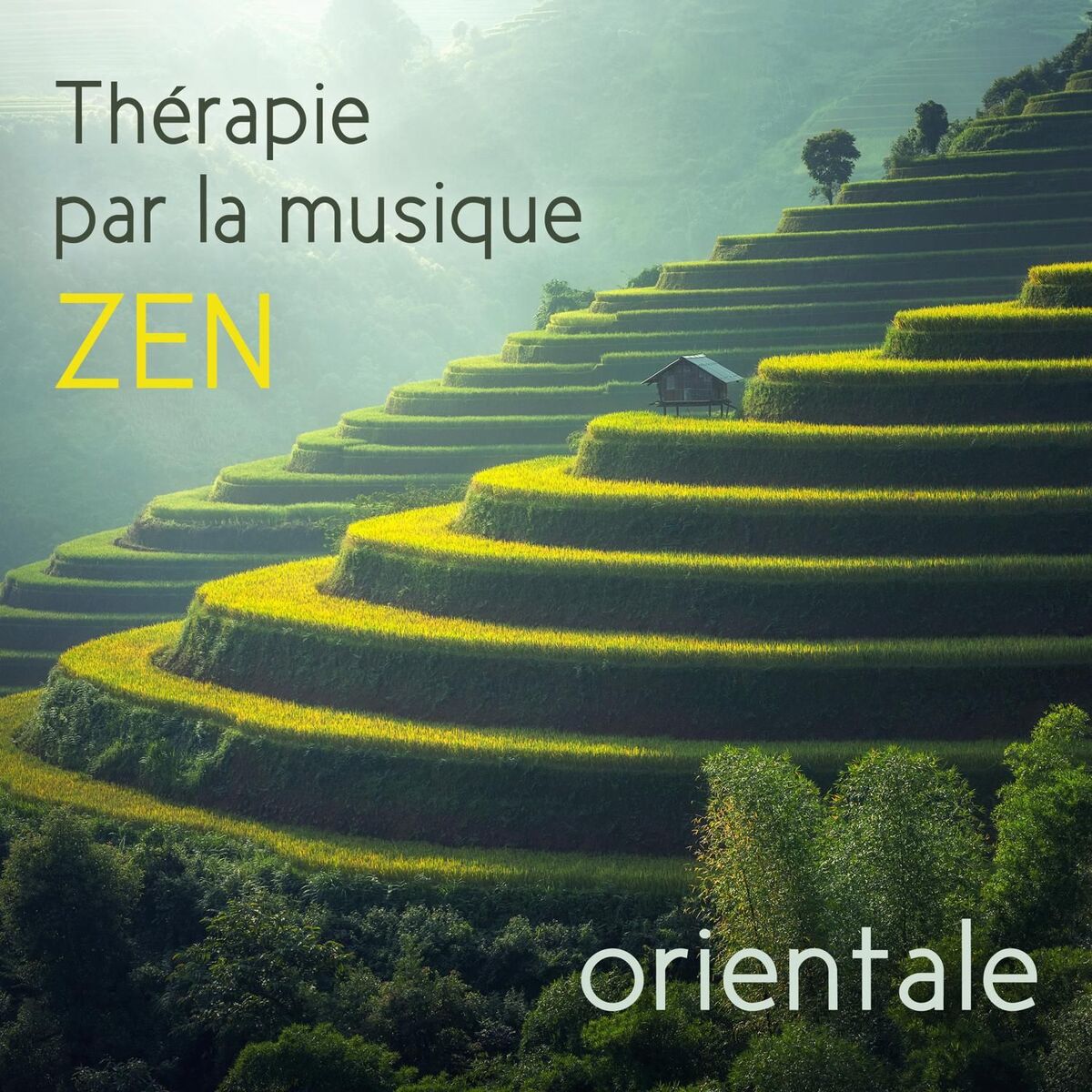 Album cover of Piano de relaxation de guérison: Balayage de l'atmosphère