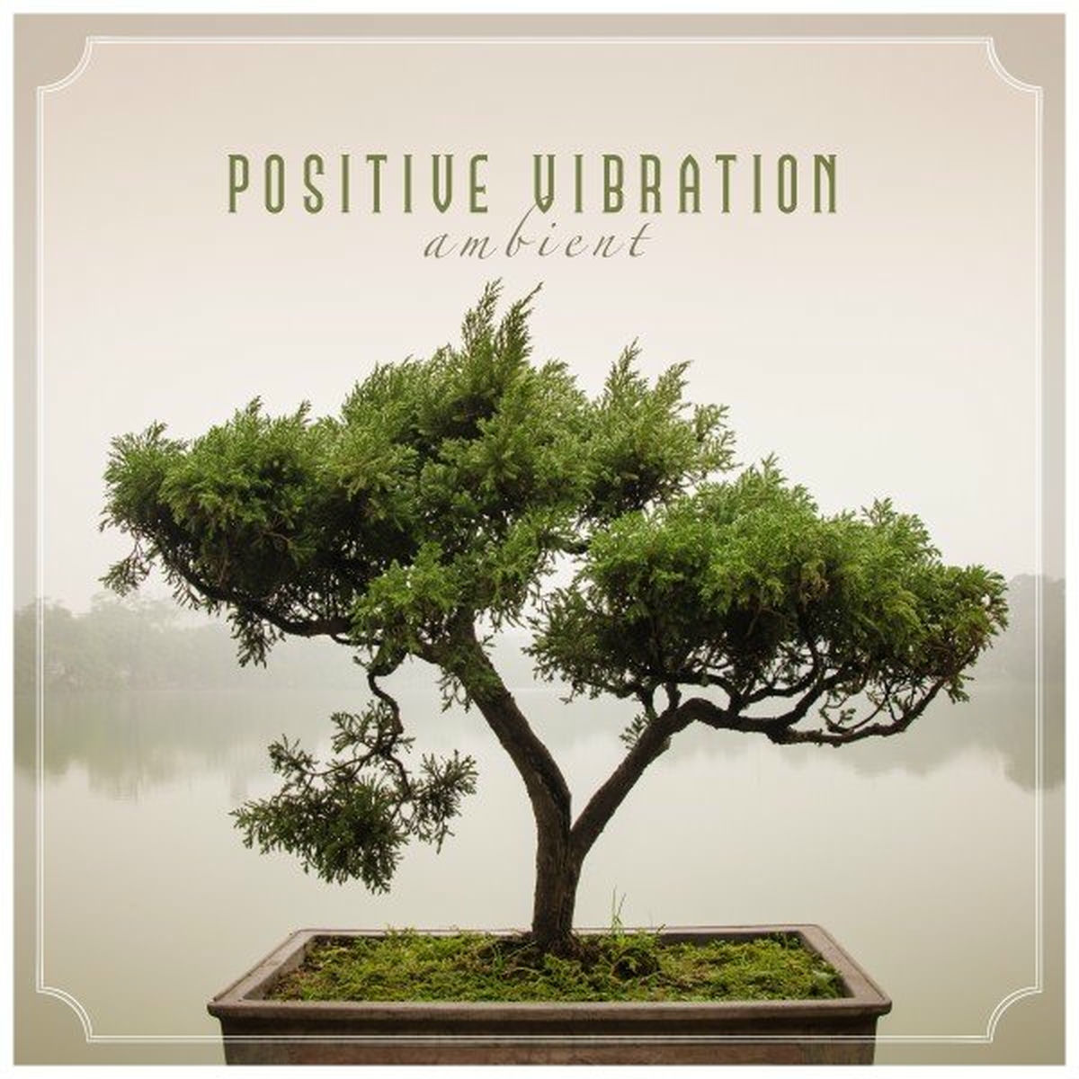 Album cover of Positive Vibration Ambient