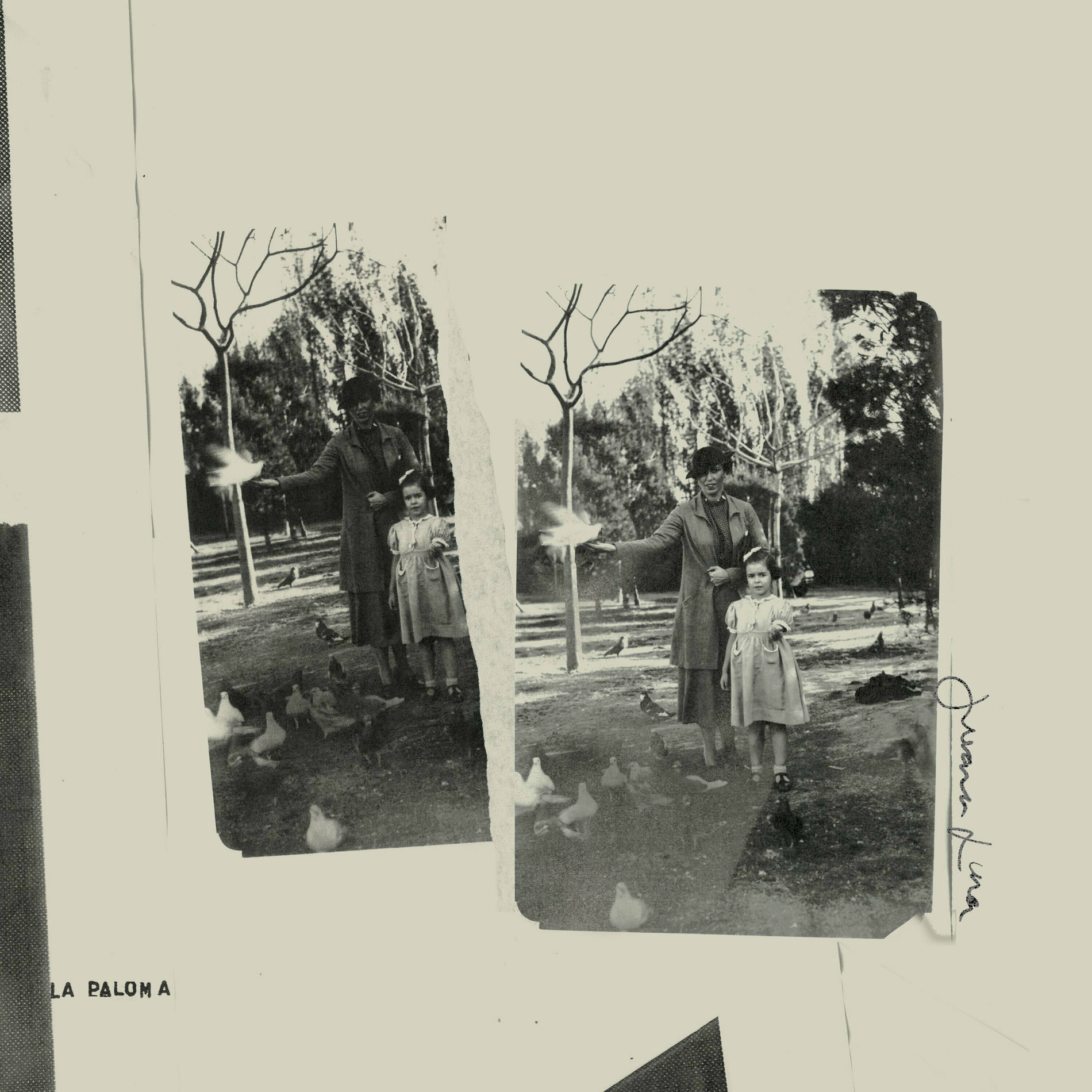 Album cover of La Paloma
