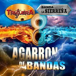 Cover of Agarron de Bandas (Banda)
