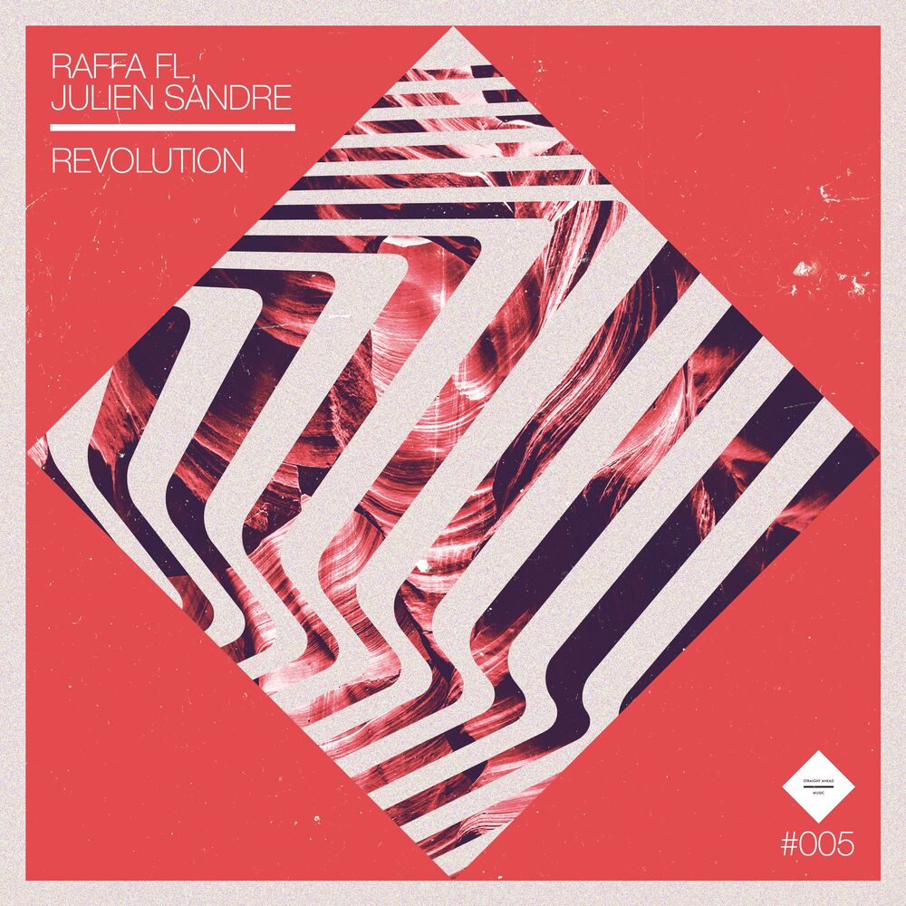 Picture of Revolution