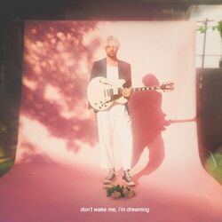 Cover of don't wake me, i'm dreaming