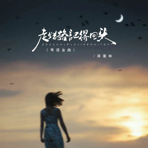 走错路记得回头 (粤语金曲)