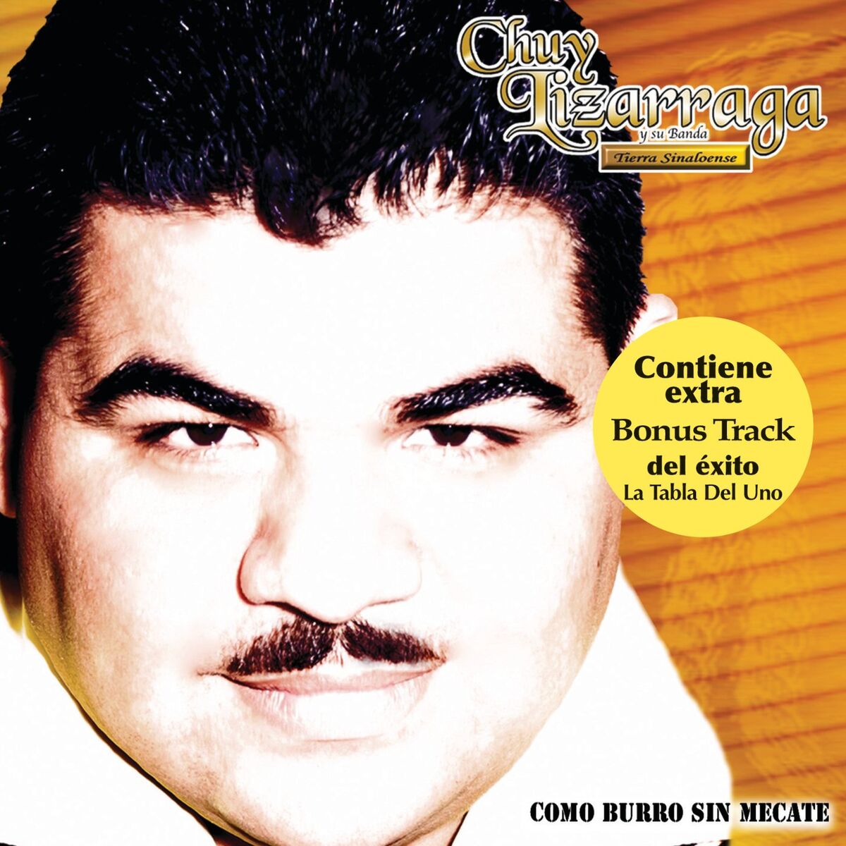 Album cover of Como Burro Sin Mecate