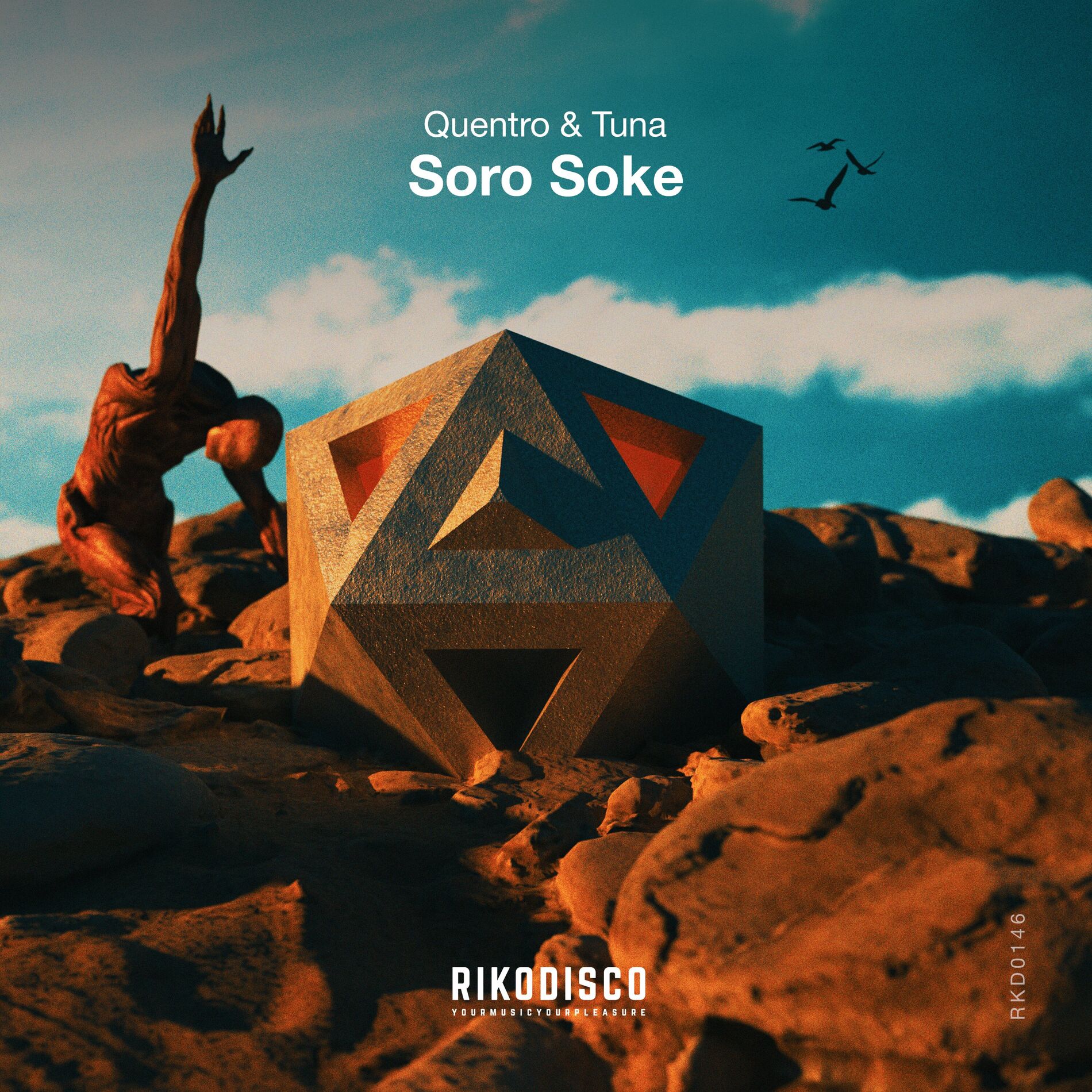 Album cover of Soro Soke