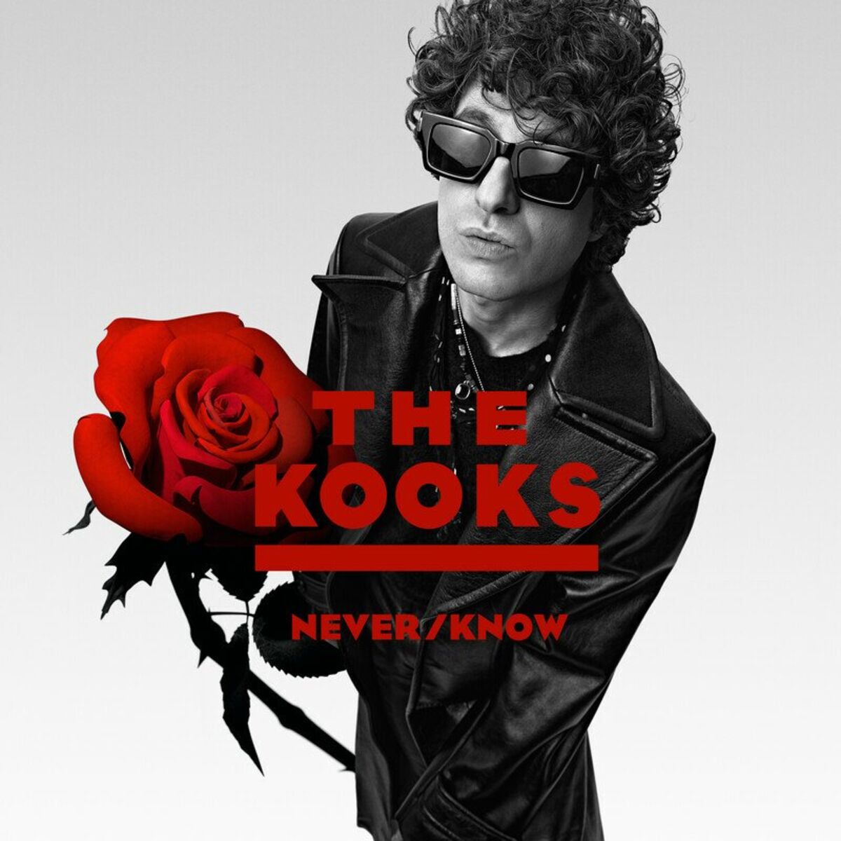 Album cover of If They Could Only Know