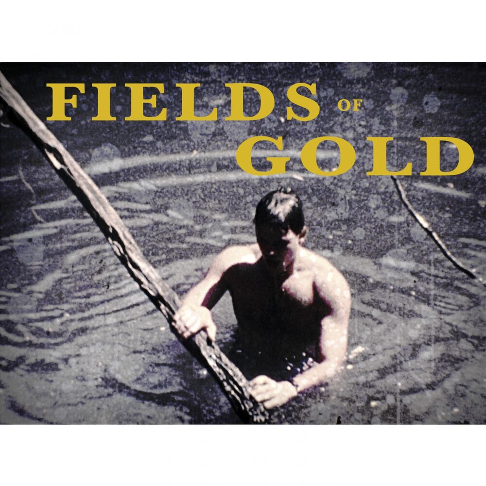 Picture of Fields of Gold