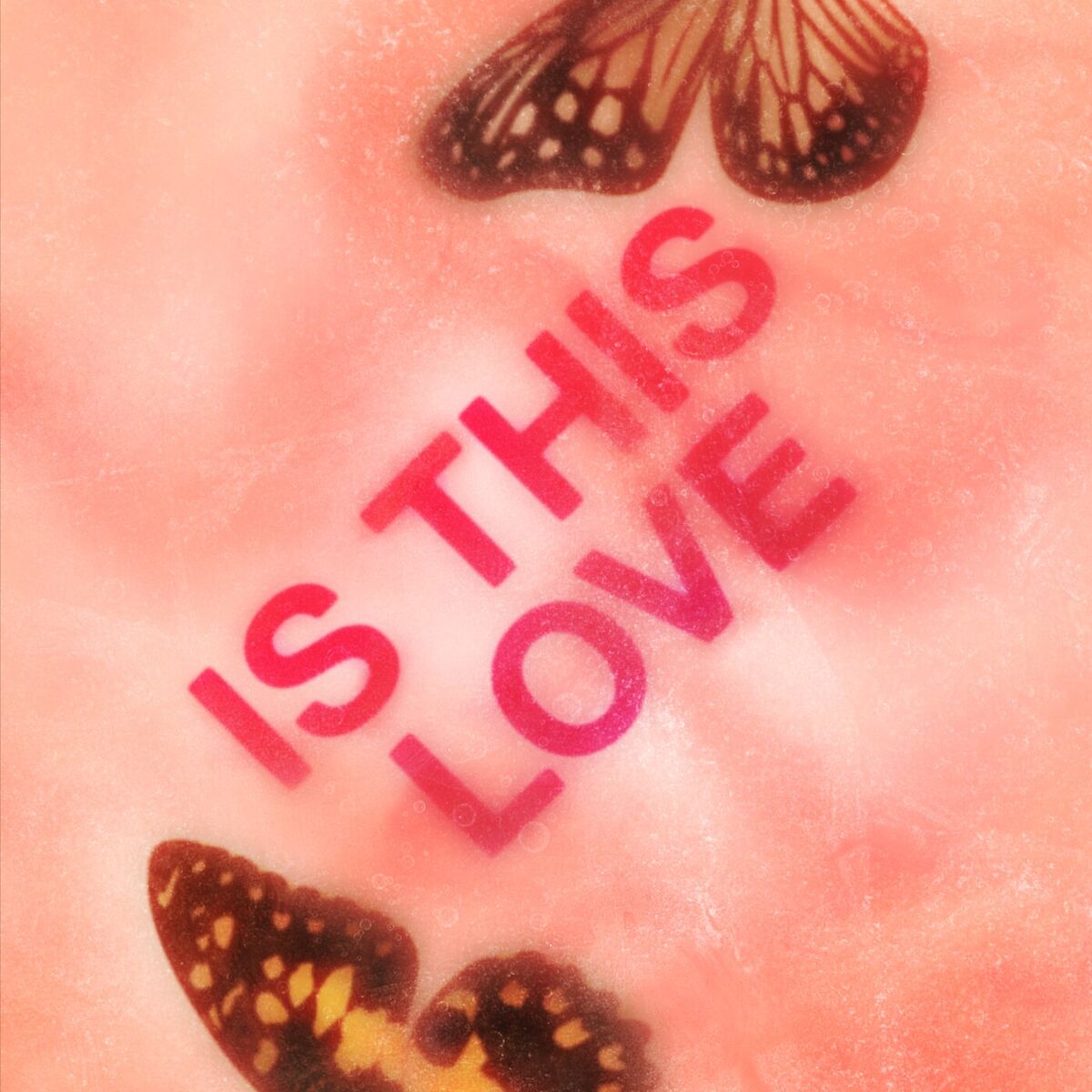 Album cover of Is This Love
