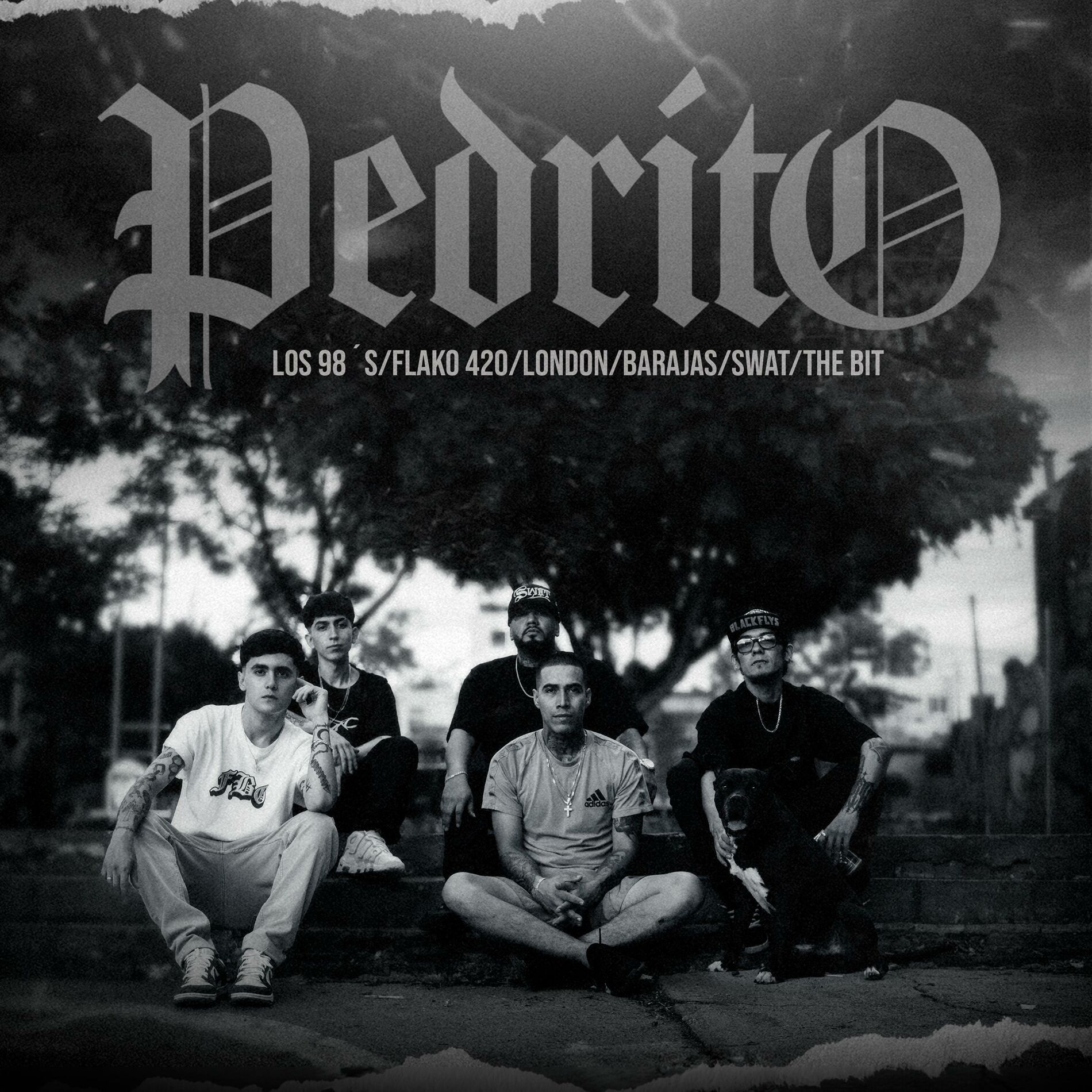 Album cover of Pedrito (feat. Flako420, Barajas, Swat, London & The bit)