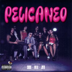 Cover of Pelicaneo