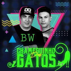 Cover of Chameguinho dos Gatos