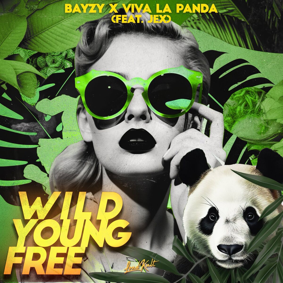 Album cover of Wild Young Free