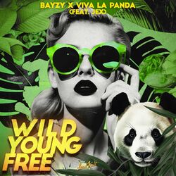 Cover of Wild Young Free