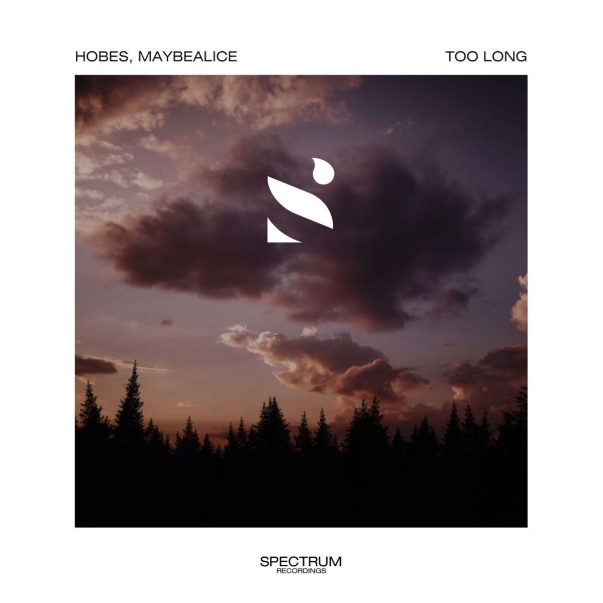 Album cover of Too Long