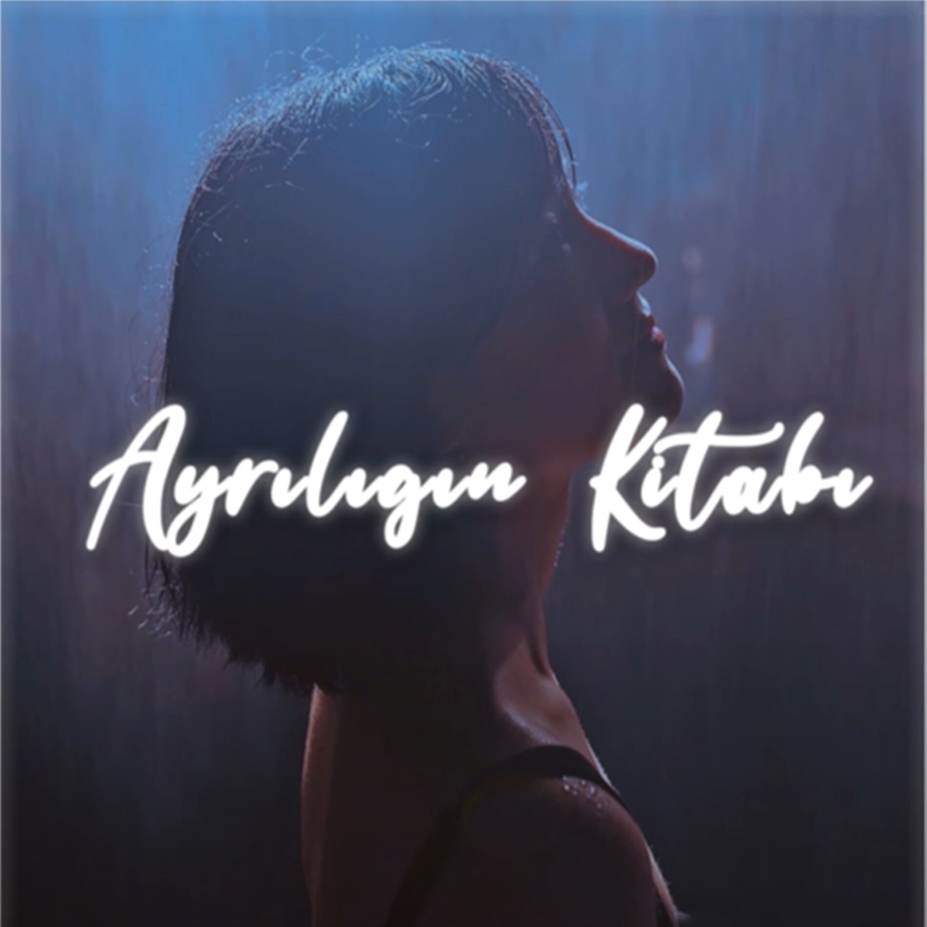 Album cover of Ayrılığın Kitabı (Remix)