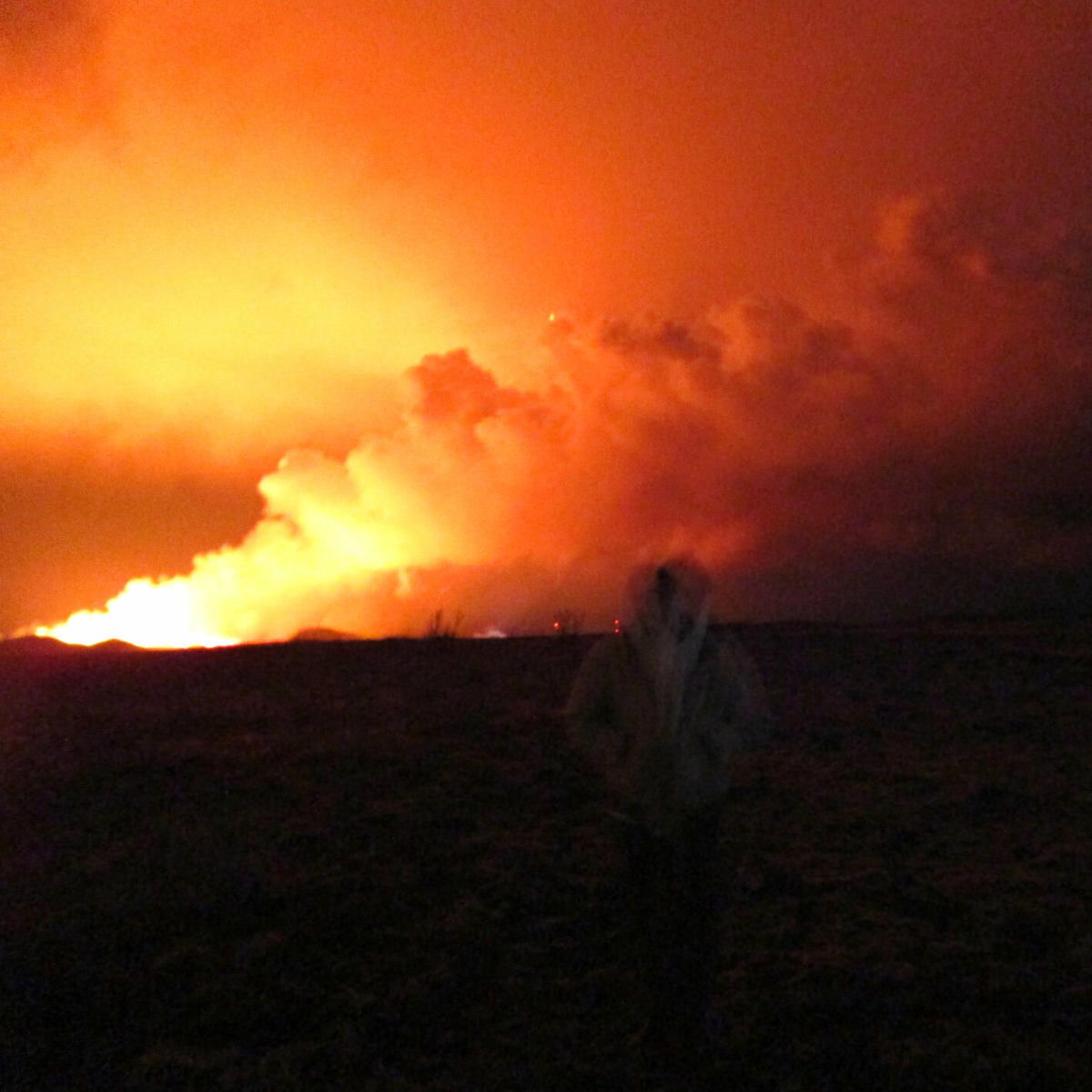 Album cover of Burned It Down