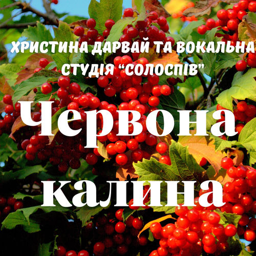Ой у лузі червона калина