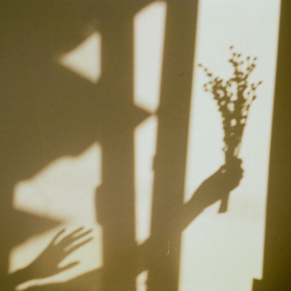 Picture of Your Shadow