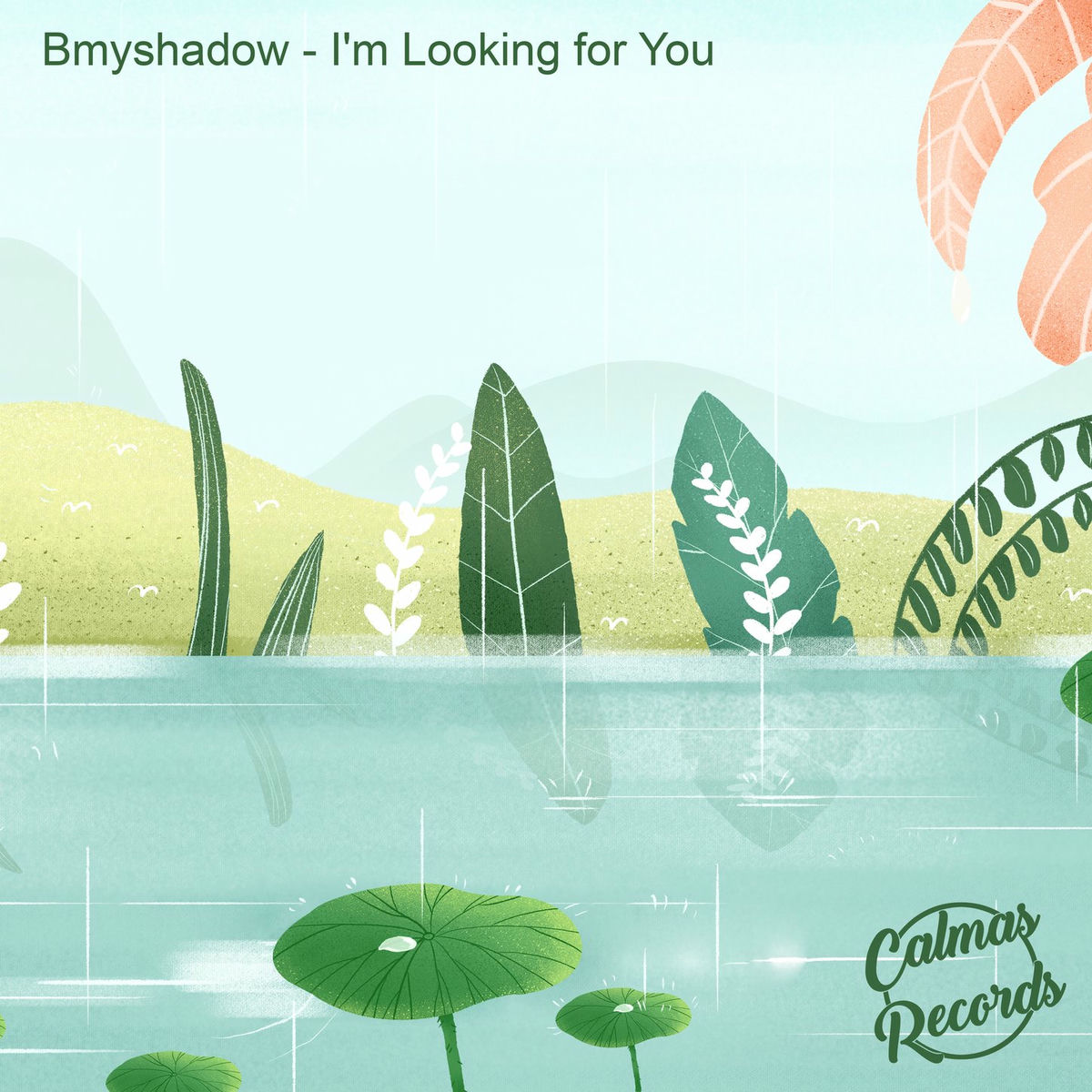 Album cover of I'm Looking For You