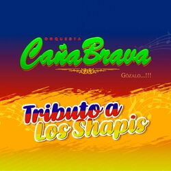 Cover of Tributo a los Shapis: La Novia / El Aguajal / Ladrón de Amor