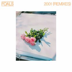 Cover of 2001 (Remixes)