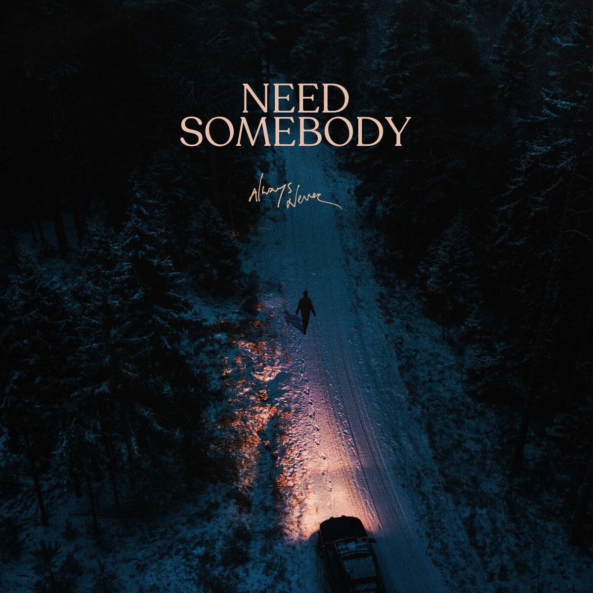 Album cover of Need Somebody