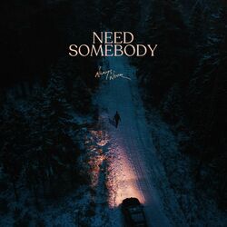 Cover of Need Somebody