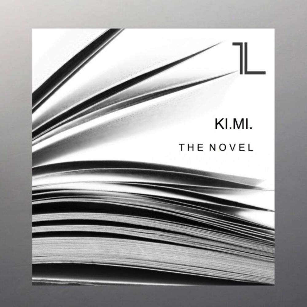 Picture of The Novel