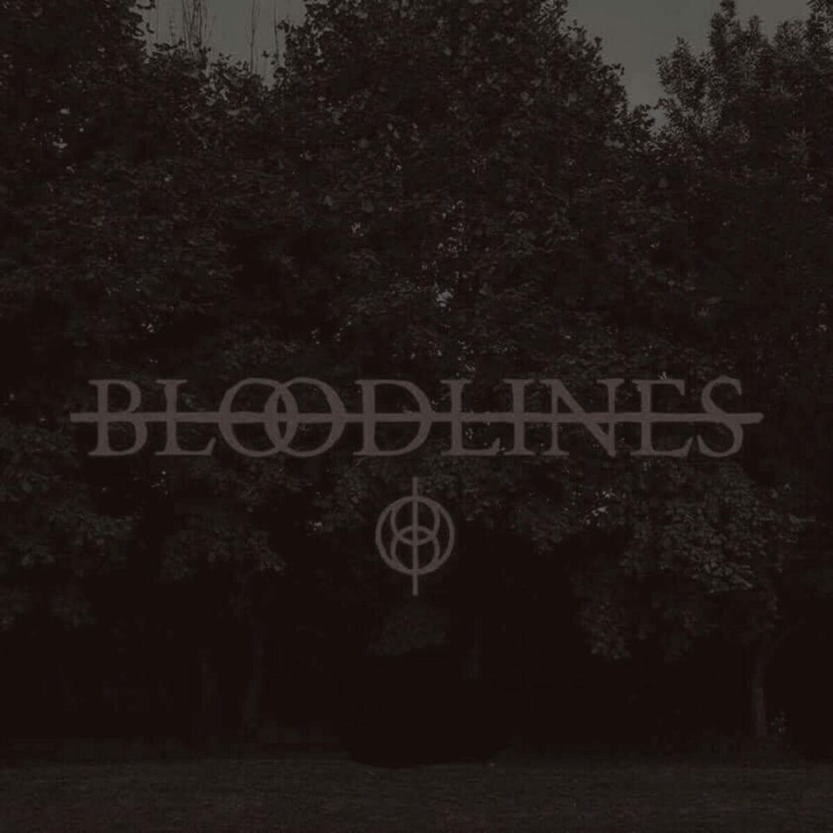 Album cover of Deadlock