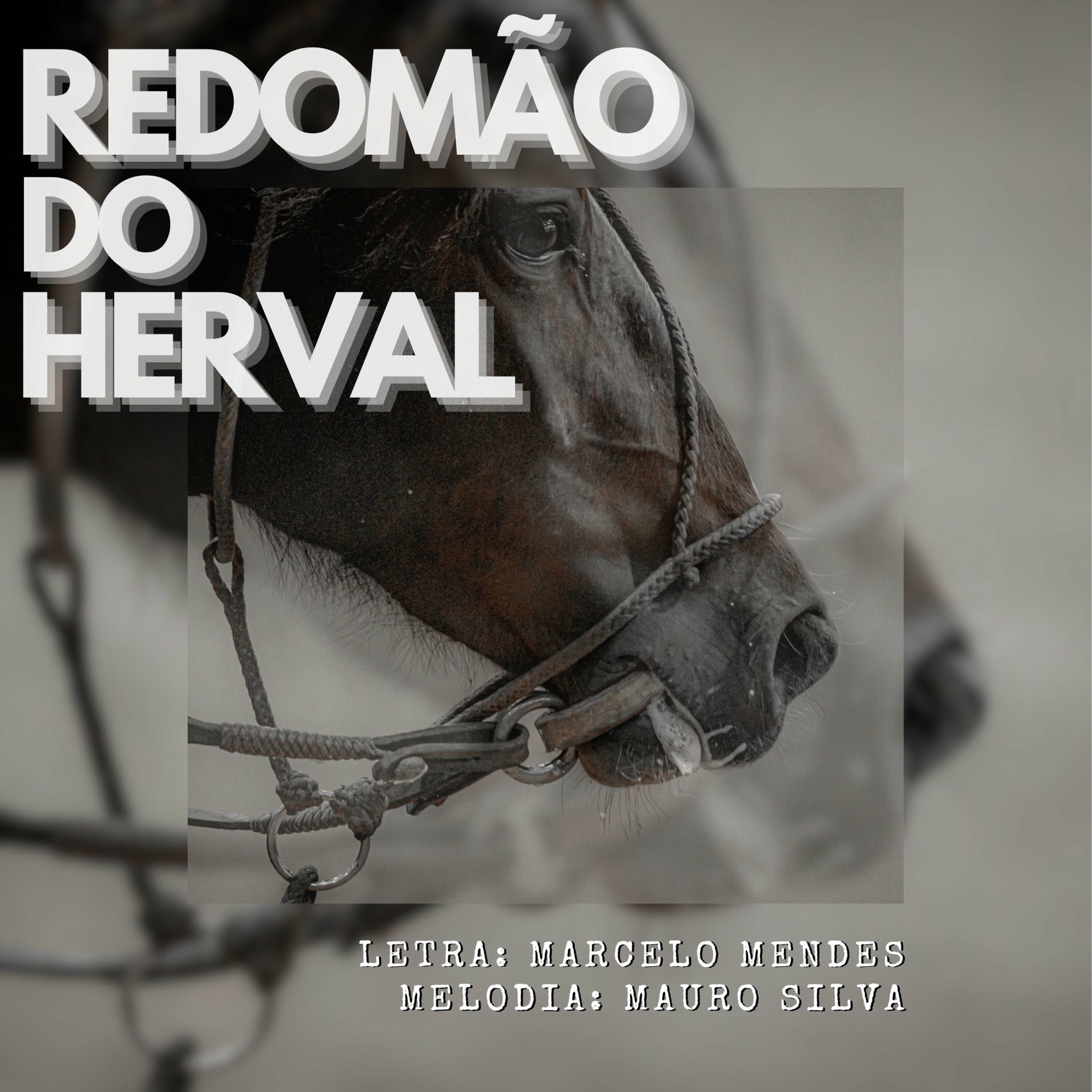 Album cover of Redomão do Herval
