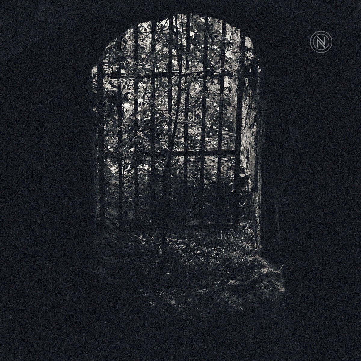 Album cover of Fragments of Light
